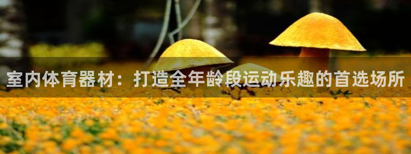 极悦平台用户反馈和反馈的区别