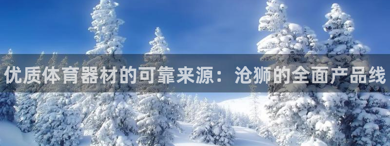 极悦平台登录入口注册：优质体育器材的可靠来源：沧狮的全面产品
