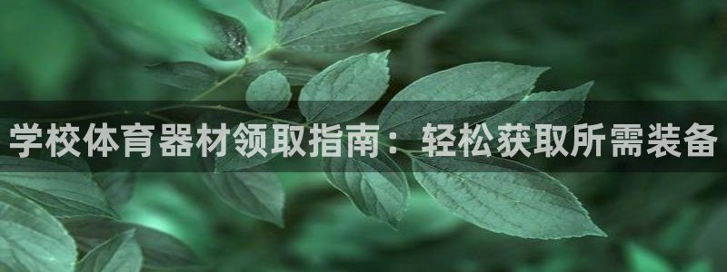 极悦平台官网入口下载：学校体育器材领取指南：轻松获取