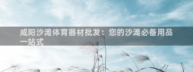 极悦平台注册用户名验证码是什么：咸阳沙滩体育器材批发：您的沙