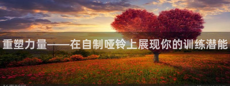 极悦平台注册登录入口网址：重塑力量——在自制哑铃上展现你的训