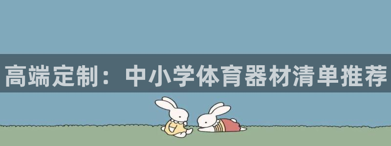 极悦平台代理怎么样啊：高端定制：中小学体育器材清单推