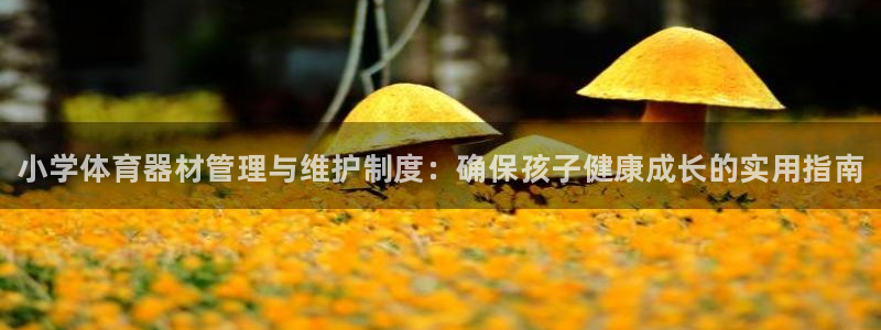 极悦平台官方网站入口链接：小学体育器材管理与维护制度