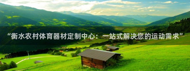 极悦平台app二维码怎么弄到桌面：“衡水农村体育器材定制中心